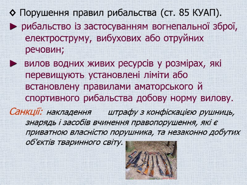◊ Порушення правил рибальства (ст. 85 КУАП).  ► рибальство із застосуванням вогнепальної зброї,